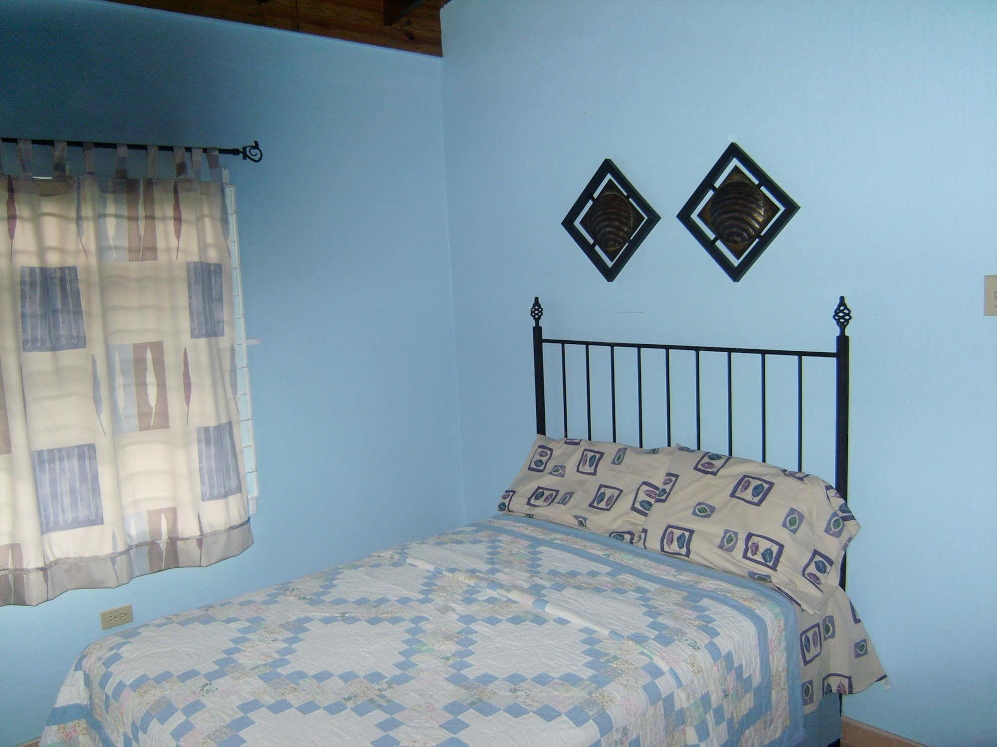 New Kingston Guest Apt At Sonoma Estate Екстериор снимка